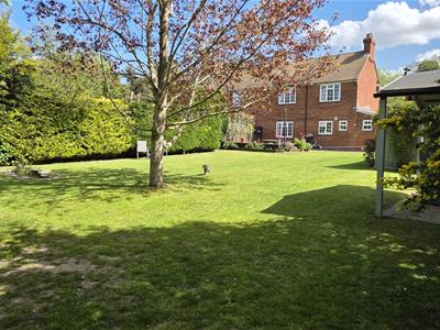 Picture 21